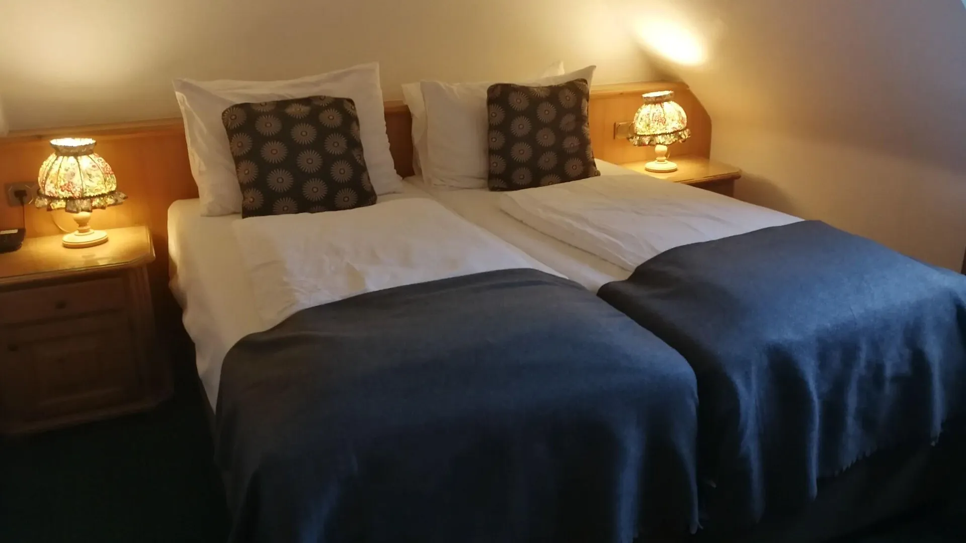 Hotel Allegro Cologne 4*,
